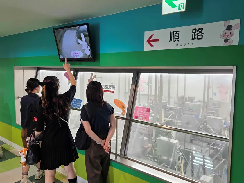 工場見学の様子