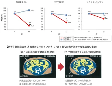 ガセリ菌摂取による内臓脂肪、皮下脂肪、ウエストサイズの変化／最も効果が高かった被験者のCT画像
