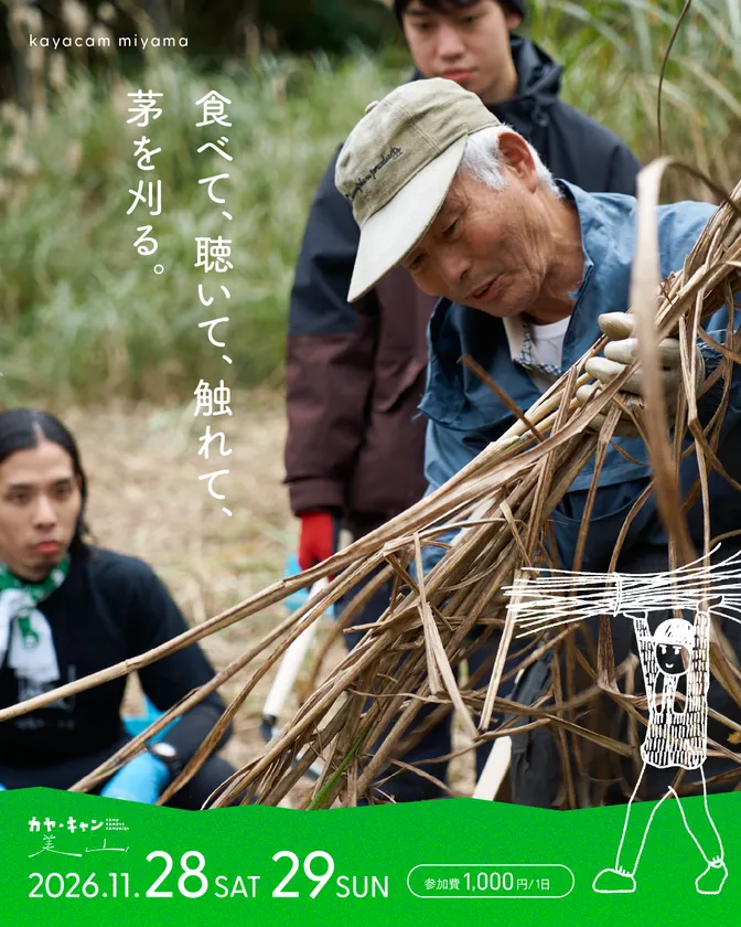 地域の人々と一緒に、かやぶき屋根の材料となる茅を刈り取ります