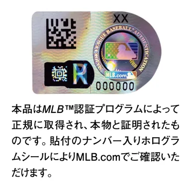 ホログラム