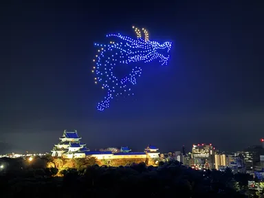 ドローンショー「WAKAYAMALIGHTS2026」