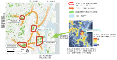 【図2】「エコロジカルネットワーク」の形成状況および「生物の移動しやすさ推計」