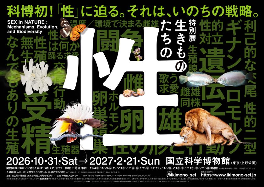 なんでもり!? 生きものたちの「性」の世界
科博初、 “生きものたちの性”に迫る特別展 10月31日(土)開幕!
●イメージソング楽曲が“礼賛”の「つれない」に決定!
●人気クリエイター「はじめまして松尾です」他コラボグッズ発表!