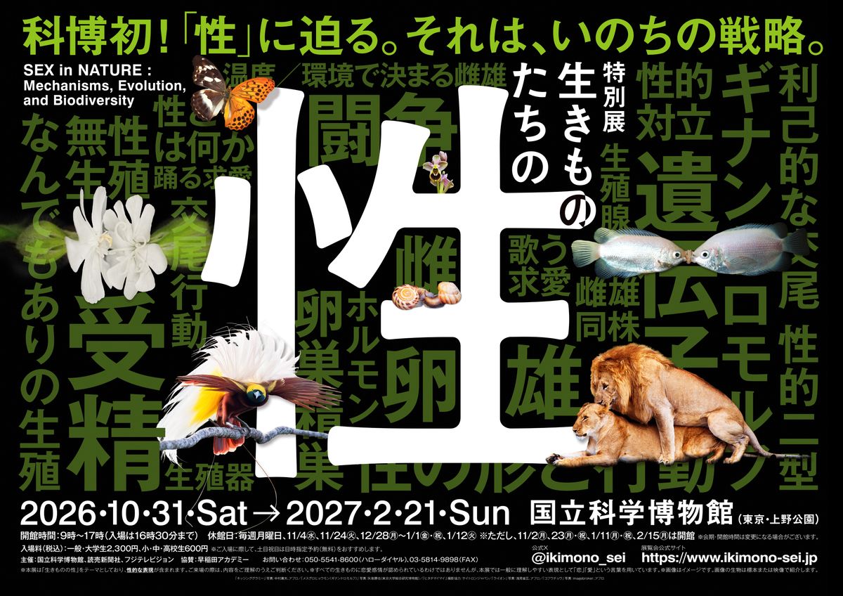11/23(月・祝) お台場で、様々なスポーツが体験できるイベント開催！ ～レインボーライド2026同日開催の『マルチスポーツ』～