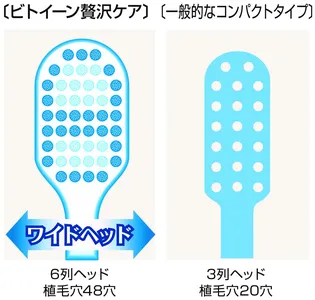 ワイドヘッド図1