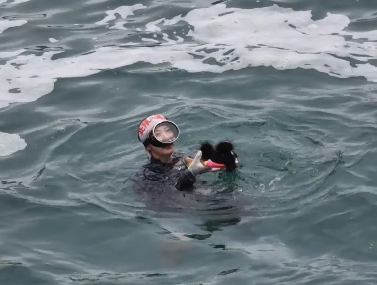 ウニを獲る久慈の海女さん