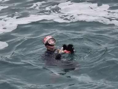 ウニを獲る久慈の海女さん