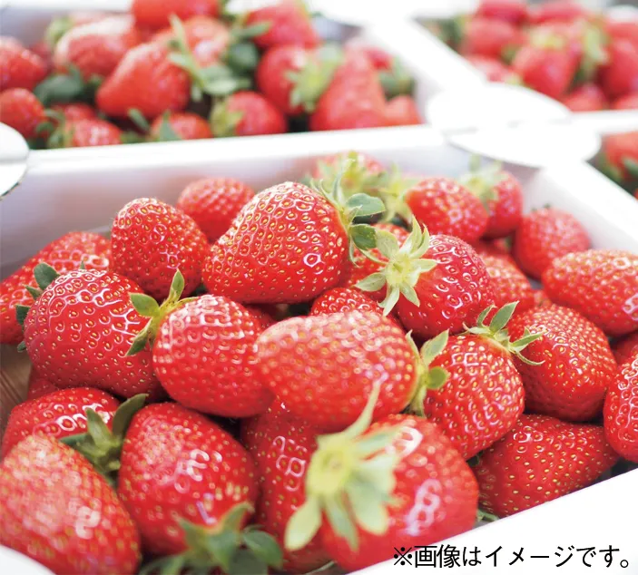 いちご盛り放題