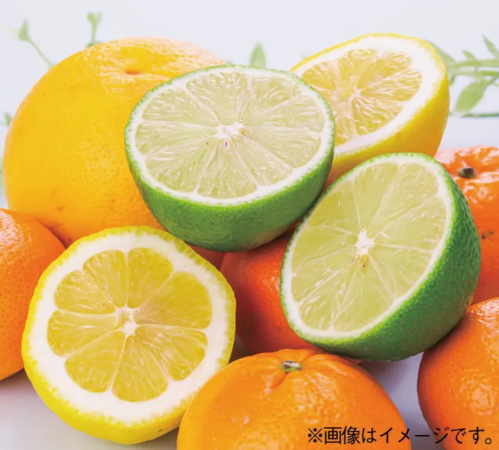 柑橘類詰め放題