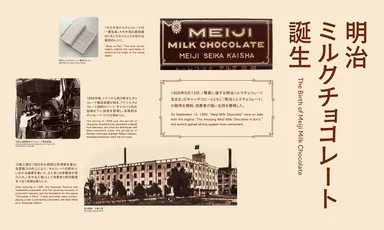 4.展示について_壁面イメージ