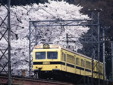 500形電車 黄色／茶色帯