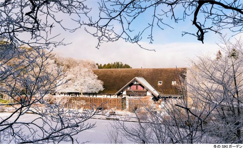 ROKKO森の音ミュージアム
SIKIガーデンWinter Season
冬に色変わりする木々と森の静寂を堪能する季節の到来
2026年12月1日(火)~2027年2月28日(日)