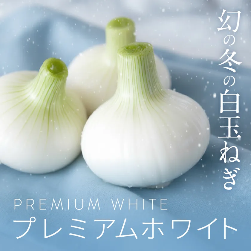 春を待たずに味わう幻の新白玉ねぎ