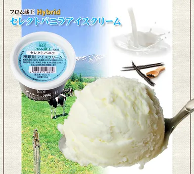 セレクトバニラアイスクリーム