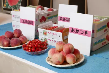 福島のブランドもも「あかつき」やサクランボ
