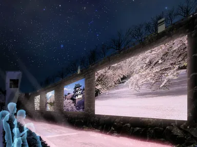 石垣マルチ・プロジェクションイメージ1