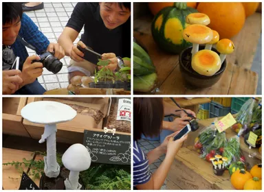 第2回 都会できのこ撮り大会