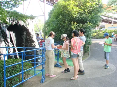 過去の謎解き×ポケモンの様子