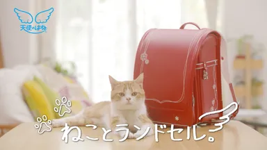 ねことランドセル