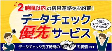 データチェック優先サービス バナー