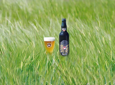 ビアガーデンイメージ