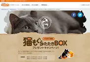猫もぐらたたきBOXプレゼントキャンペーン特設サイト