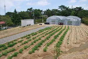 六甲山の体験農園の様子