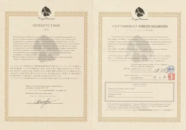 初オーナー証明書