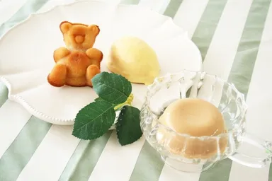 新しい希少糖を使った「体に優しいスイーツセット」