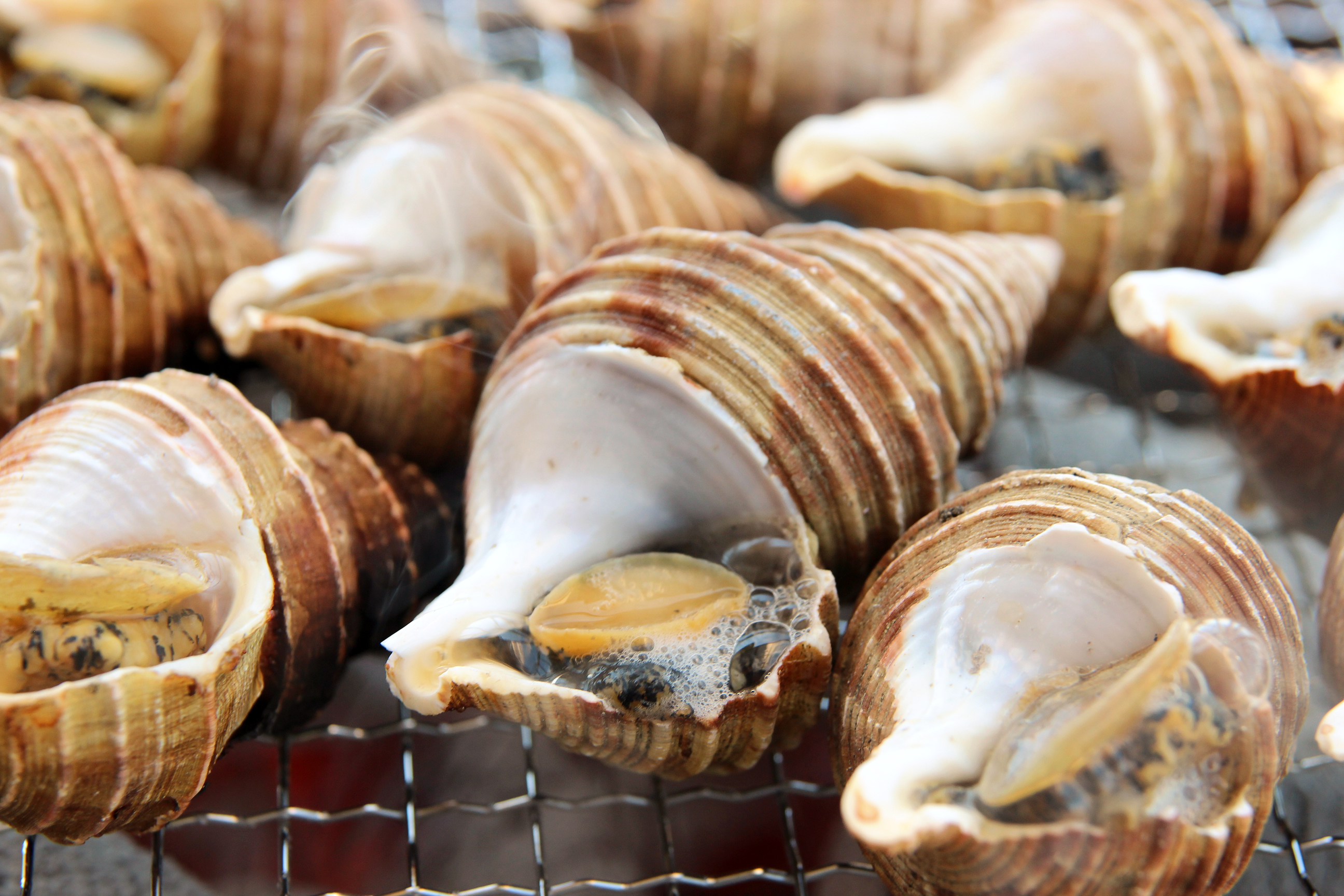 夏のバーベキューやギフトにおすすめ 北海道 釧路名物 つぶの壷焼き を新発売 カネキタ北釧水産株式会社 北海道 北釧水産のプレスリリース