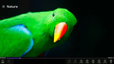 DiXiM Play 視聴画面