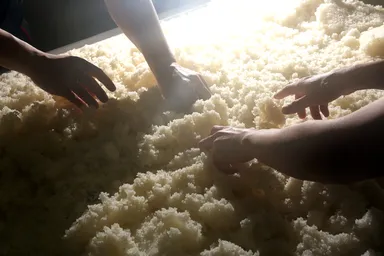 東京の蔵人が醸します