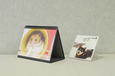 卓上カレンダーイメージ