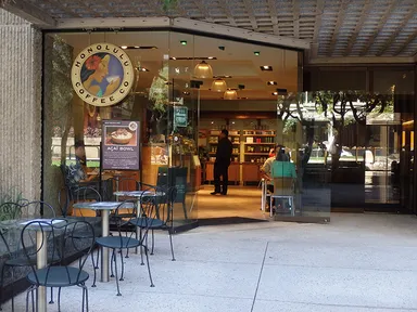 ダウンタウンショップ