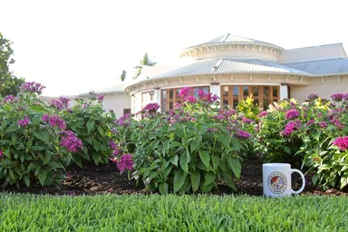 HCEC外観イメージ3