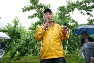 「『あかつき』は県を代表する自慢のブランドもも」と話す樅山さん