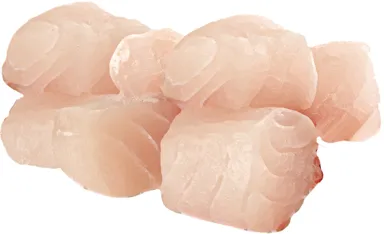 フィッシュ ファーストで使用される魚(※イメージ)