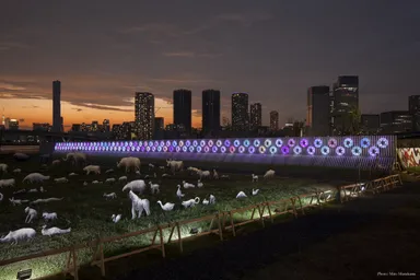 新豊洲アート広場 1