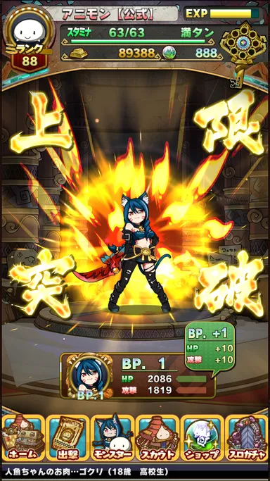 上限ブースト機能