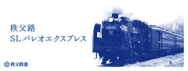 記念グッズ(カード10枚)SL手ぬぐい