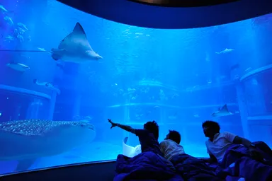 男性限定おとまりスクール　イメージ３