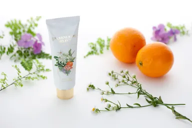 「Venus Select by StayRich」1