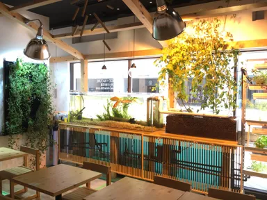 アクアポニックスイメージ1