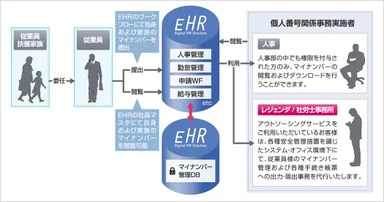 マイナンバー(全体)