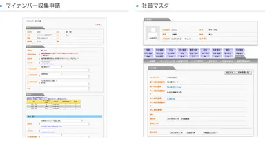マイナンバー(収集管理)