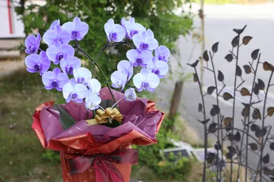 パープルエレガンス ハート型ミディ