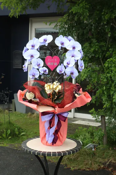 パープルエレガンス ハート型