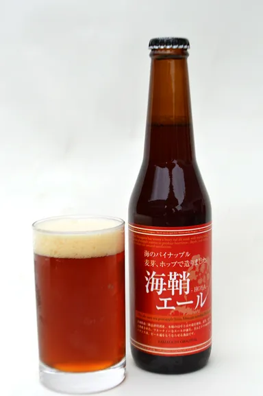 ホヤを使用したクラフトビール　海蛸エール