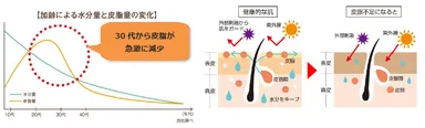 【加齢による水分量と皮脂量の変化】