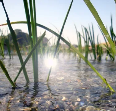 ヒアルロン酸を超える保湿力！サクラン